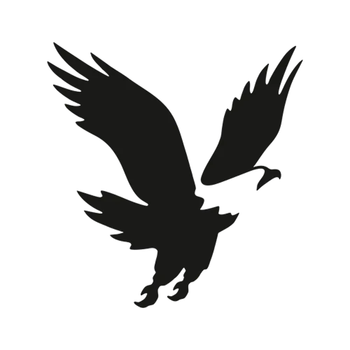 American Eagle